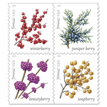 Winter Berries Postage Stamps